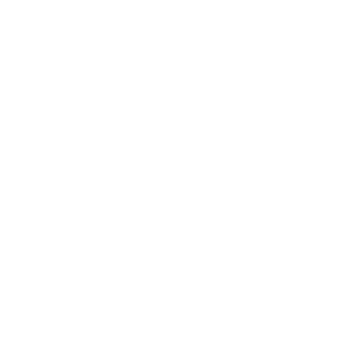 FN logo